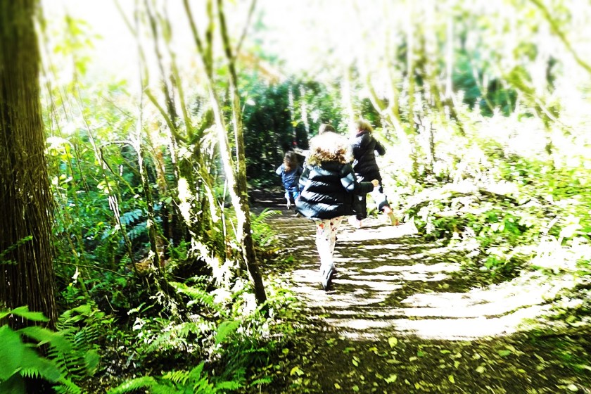 What to do in Ohakune when the skifields.