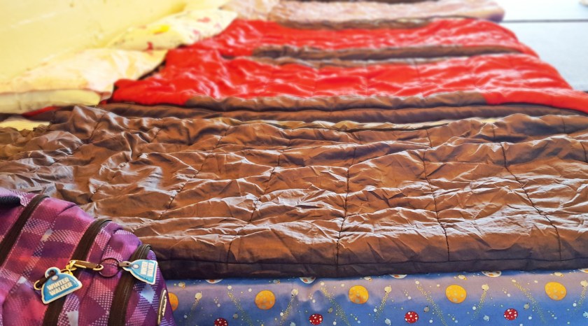 Sleepover at the Zoo