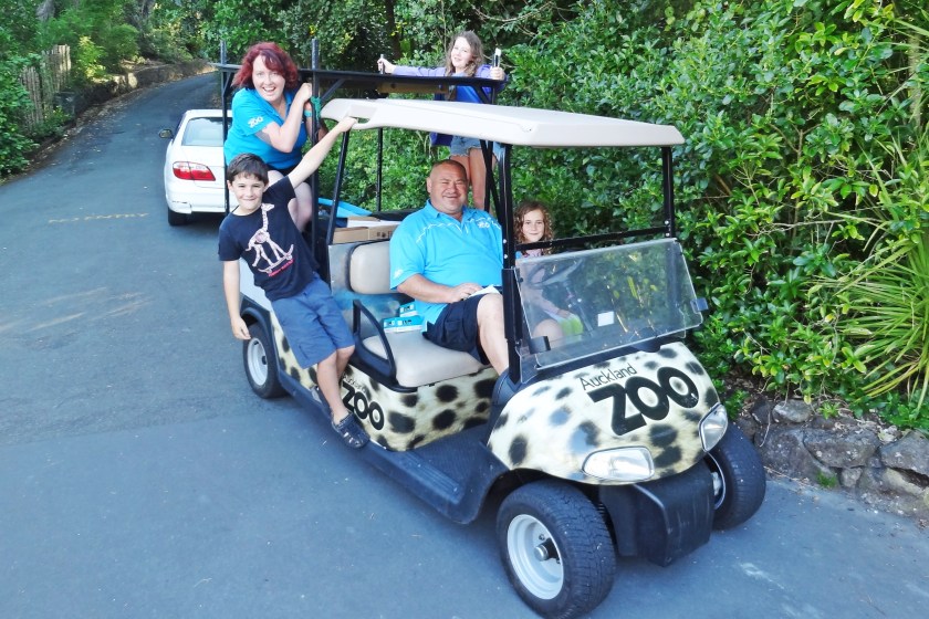 Give the Gift of: A Zoo Sleepover