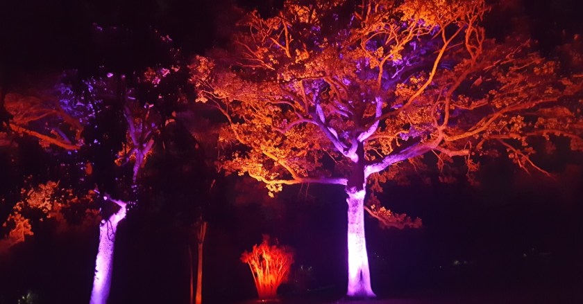 An evening out at the Power Plant